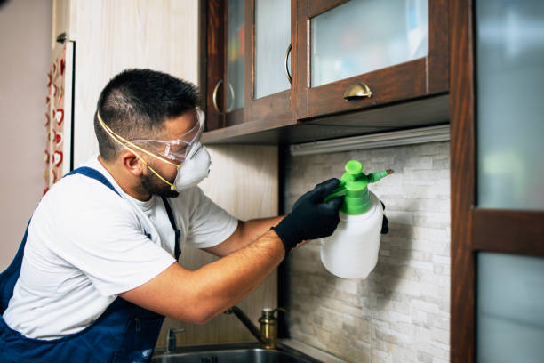 Insect Control in South Huntington, NY