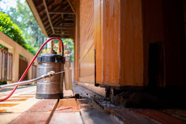 Best Mosquito Control Services  in South Huntington, NY